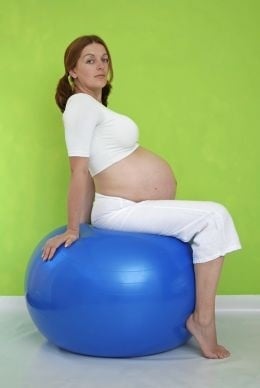 Flexx Appeal Pilates Logo