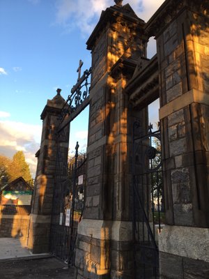 Calvary Cemetery by null