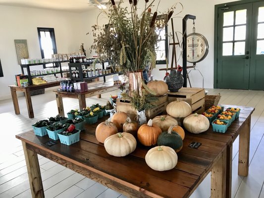 New Earth Farm and Market by null