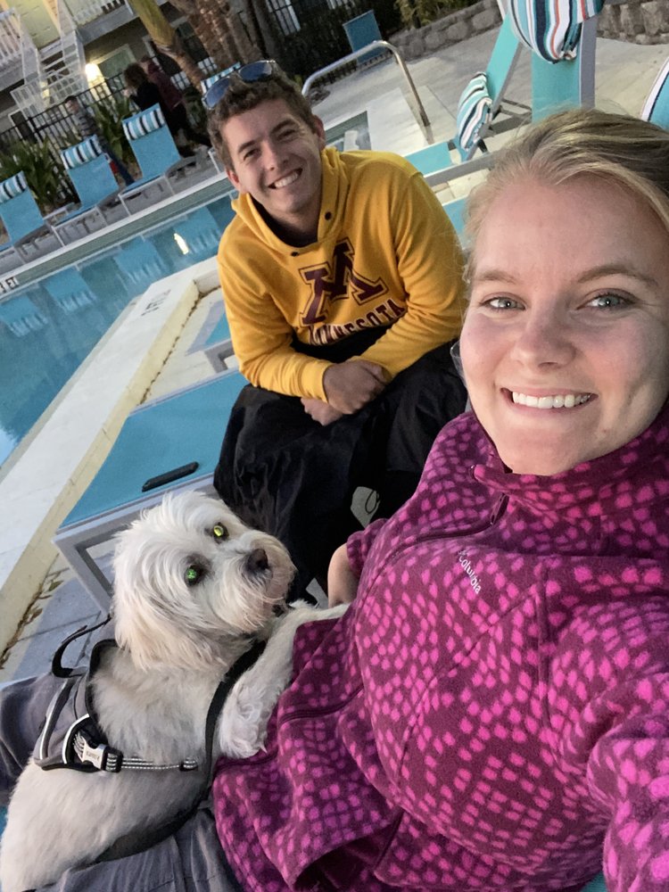 CALLING ALL DOGS AND CARS OF SOUTH TAMPA Updated June 2024 Request