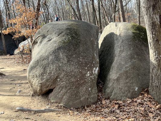 Big Rock Nature Preserve by null