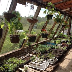 River Lily Farm