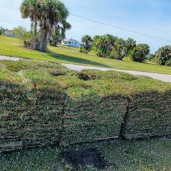Sunshine Sod - St Augustine Floratam fresh cut ready for installation