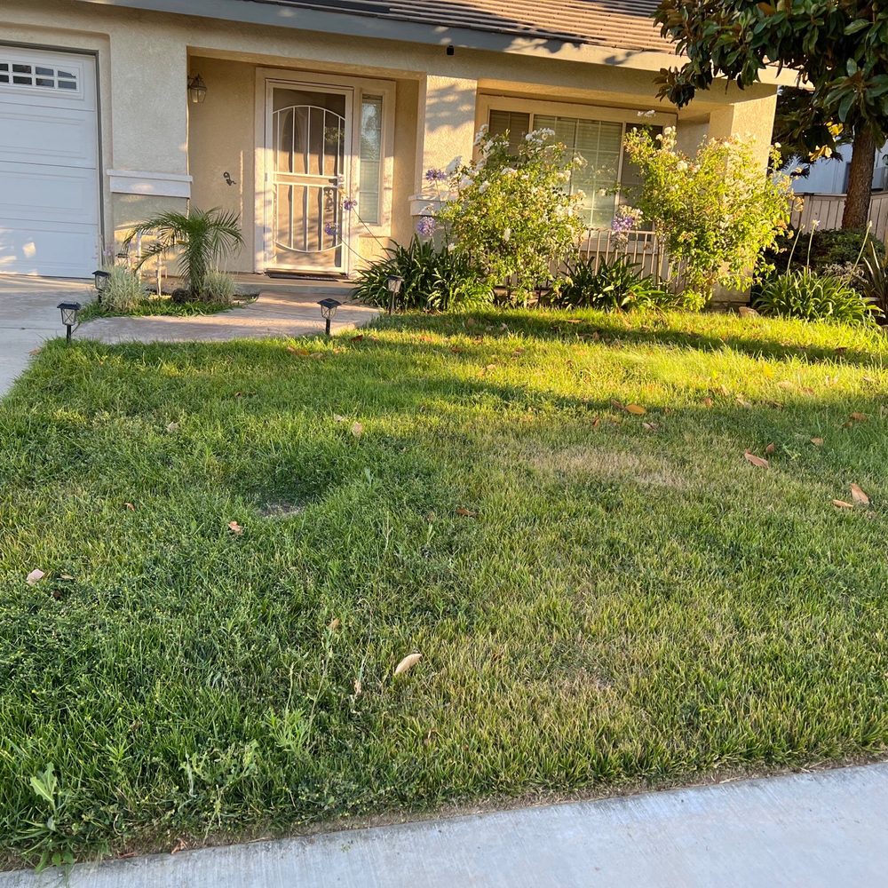 L & V Lawn Care - Before - Lawn Services Near Me L & V Lawn Care - Before - Lawn Services Near Me