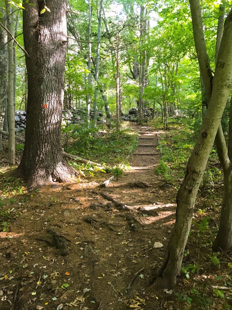 AUDUBON SOCIETY OF RHODE ISLAND Updated September 2024 35 Photos