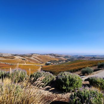 DAOU Vineyards - View - Wineries Near Me - Paso Robles, California