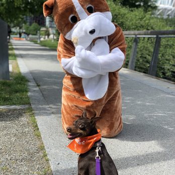 Sweet Spot - Mariah waiting patiently for Billy the Bulldog to share the Pawpsicle - Ice Cream & Frozen Yogurt Near Me - Vancouver, British Columbia Sweet Spot - Mariah waiting patiently for Billy the Bulldog to share the Pawpsicle - Ice Cream & Frozen Yogurt Near Me - Vancouver, British Columbia