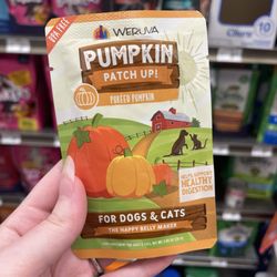 Pumpkin Patch Up! belly support treat