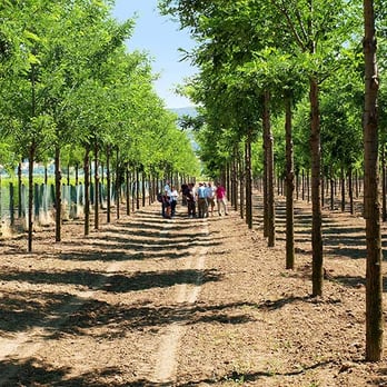 Lignum Holding - Investing Near Me - Berlin, BE Lignum Holding - Investing Near Me - Berlin, BE