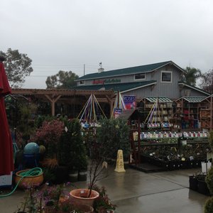Armstrong Garden Centers 71 Photos 94 Reviews Nurseries Gardening 735 E Foothill Blvd Claremont Ca Phone Number Yelp