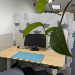 West Hartford Coworking - A peek from behind the greenery at your new desk for the day.