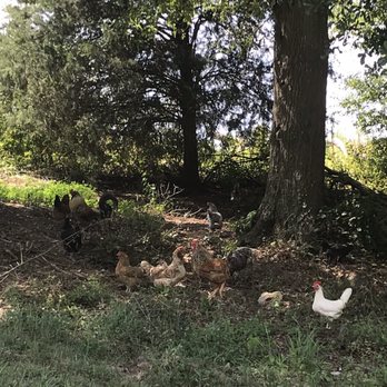 Jensen Reserve - Farmers Market Near Me - Loganville, Georgia