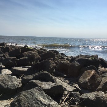Edisto Beach State Park - No words - Parks Near Me - Edisto Island, South Carolina Edisto Beach State Park - No words - Parks Near Me - Edisto Island, South Carolina