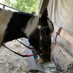 Open Acre Ranch