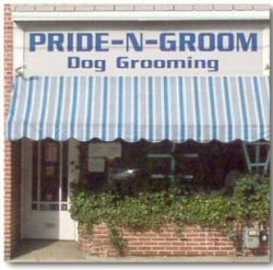 Pride N Groom Image
