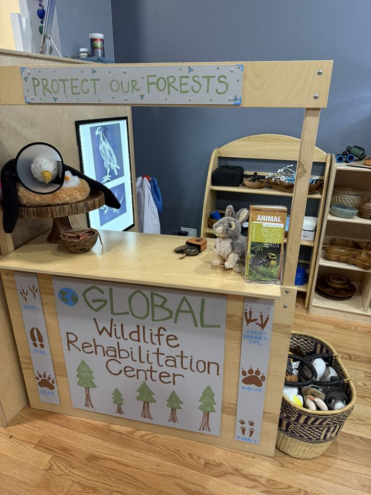 Global Early Learning - childcare center in Bellevue, WA