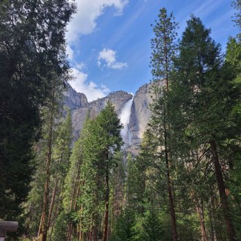 Lower Yosemite Falls - Making our way - Parks Near Me Lower Yosemite Falls - Making our way - Parks Near Me