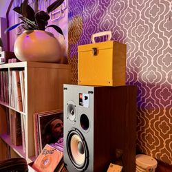 Jan’s Place: Vinyl Bar - Love this classic case that holds 45 rpms.