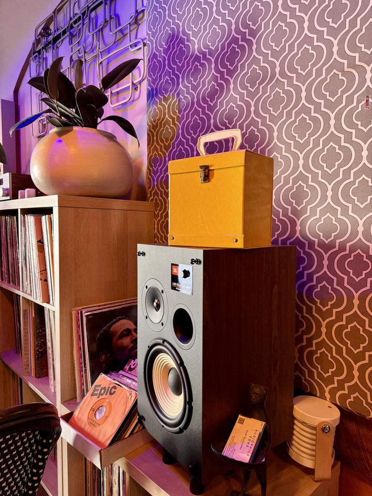 Jan’s Place: Vinyl Bar Logo