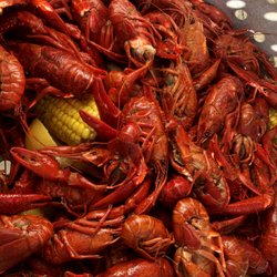 Sammy's Grill - Best Boiled Seafood in Baton Rouge. CRAWFISH, CRABS, SHRIMP. Oh My! Seasonal Specials.