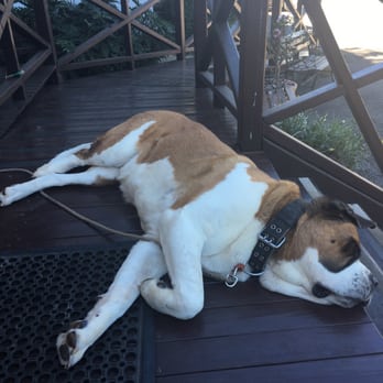 St Bernards Hotel - Restaurants Near Me - Mount Tamborine, QLD