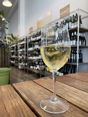 Bay Grape by null