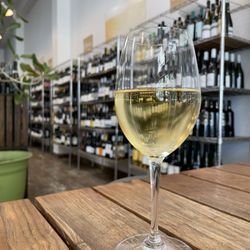Bay Grape - Bubbles!