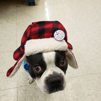 pet world warehouse outlet reviews