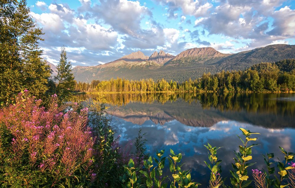 Alaska Premier Group - property management company in Wasilla, AK