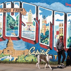 Game Time Dog Services - Austin's reliable dog walkers!