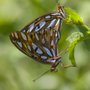 Photo of Kathy Adams Clark Photography