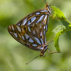 Kathy Adams Clark Photography - Nature Photography classes offered by Kathy Adams Clark