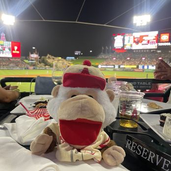 Diamond Club - Great view - Stadiums & Arenas Near Me - Anaheim, California