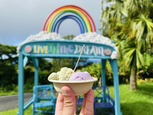 Coconut Glen's by null