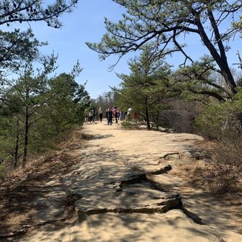 Red River Gorge - Natural bridge - Hiking Near Me - Stanton, Kentucky