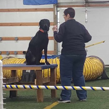 Snake River Four Paws - Pet Training Near Me - Lewiston, Idaho Snake River Four Paws - Pet Training Near Me - Lewiston, Idaho