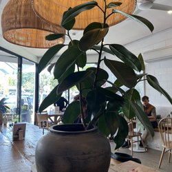 VanillaFood Organic Cafe - Inside shared seating