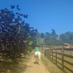Horsemanship Academy
