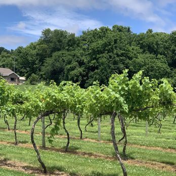 Lasata Wines - Wineries Near Me - Lawrenceville, Illinois Lasata Wines - Wineries Near Me - Lawrenceville, Illinois
