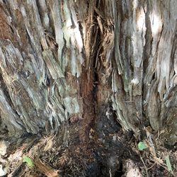 Local Drain Cleaning Specialists