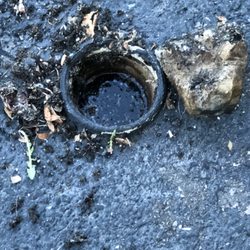 Superior Drain & Jetting Service