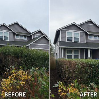 Dennis Dillon Pruning - Tree Services Near Me - Tacoma, Washington Dennis Dillon Pruning - Tree Services Near Me - Tacoma, Washington