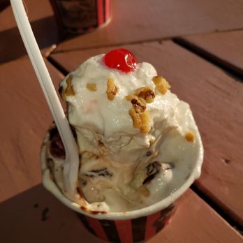 The Plush Horse - The absolute best rum Raisin sundae ever! - Ice Cream & Frozen Yogurt Near Me - Palos Park, Illinois