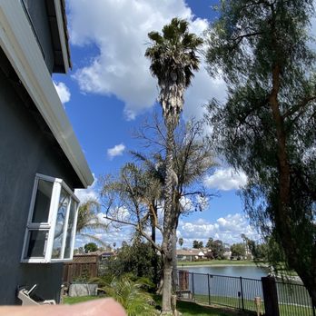 Califa Tree Care - Tree Services Near Me Califa Tree Care - Tree Services Near Me