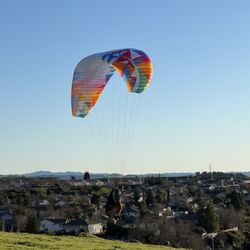 Penguin Paragliding