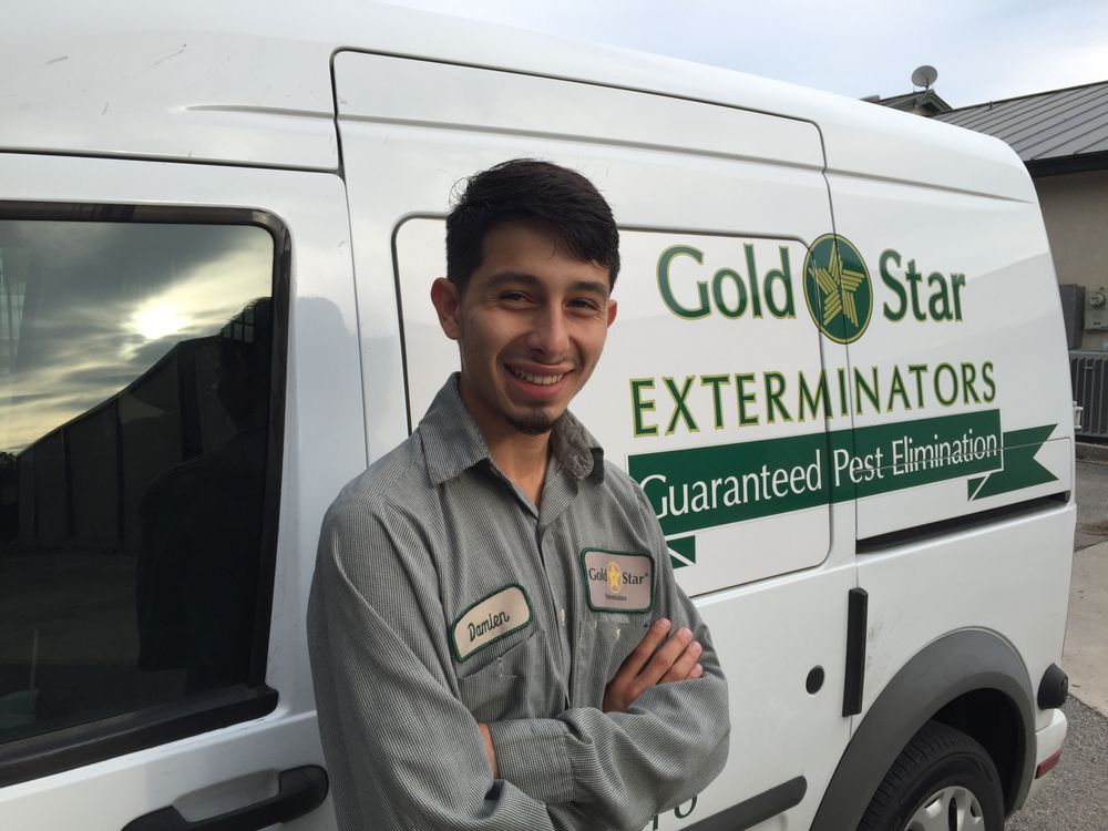 GOLD STAR EXTERMINATORS Updated May 2024 17 Photos 790 Rock St