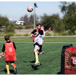 TLU ACADEMY
Private Soccer Lessons
1 v 1 Online Consoltation
Soccer Camp
Futsal
