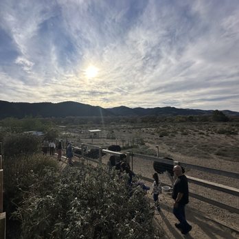 Ostrichland USA - Ostrich farm - Attraction Farms Near Me - Solvang, California Ostrichland USA - Ostrich farm - Attraction Farms Near Me - Solvang, California