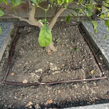 Peninsula Irrigation - Use Techline for efficient watering! - Plumbing Near Me - Woodside, California Peninsula Irrigation - Use Techline for efficient watering! - Plumbing Near Me - Woodside, California