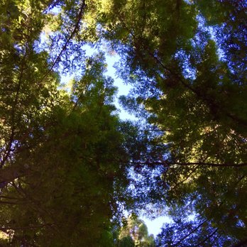 Boeger Winery - Wineries Near Me - Placerville, California